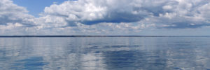 Riddarhälsan